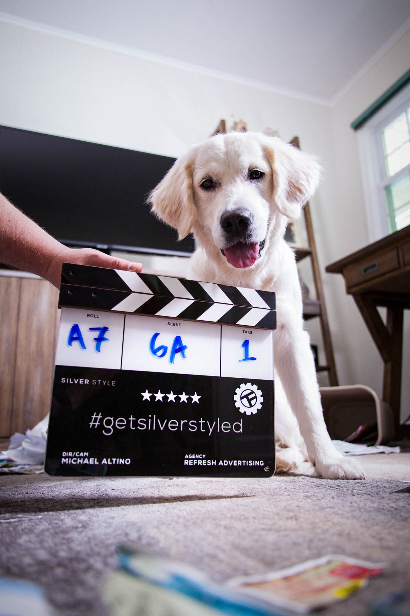 Puppy with film slate on set for commercial video production.